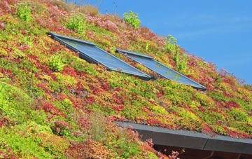 Hazleton living roof systems