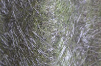 Hazleton fibreglass roof work